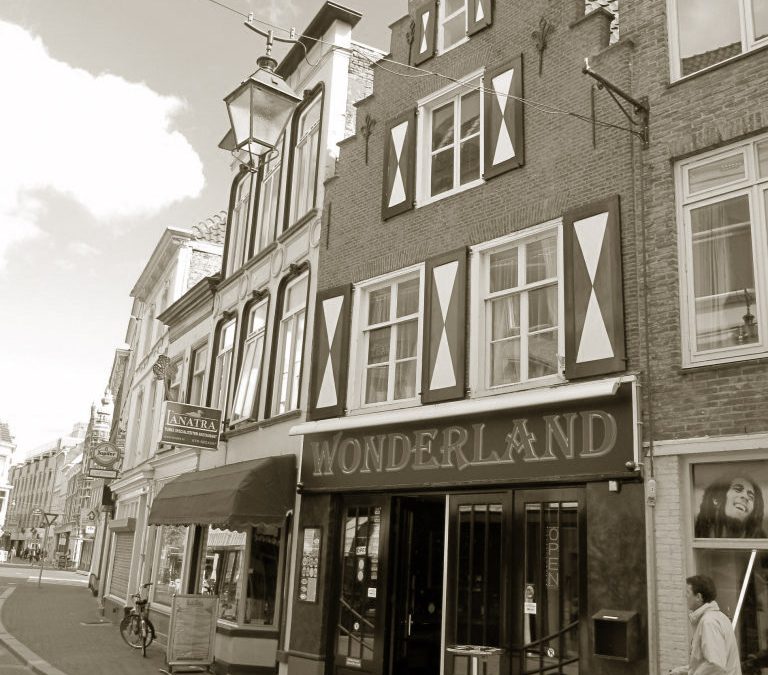 Straatmanagement Haagdijk (2010)
